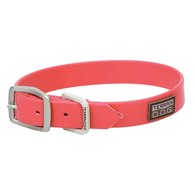 Brahma Webb Dog Collar in Hot Pink, 1 Inch by 21 Inches
