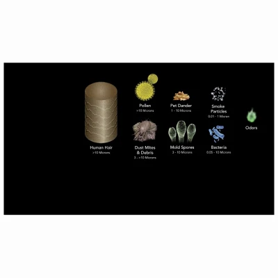 AC350 Air Purifier with Advanced Filtration System for Improved Indoor Air Quality