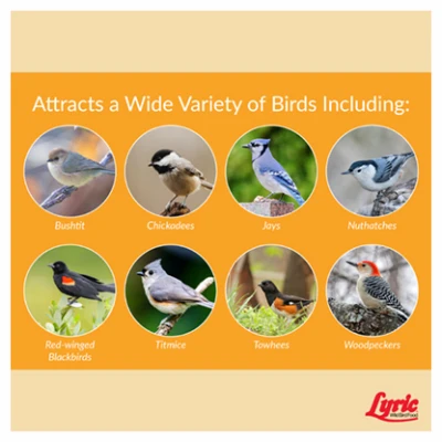 Chickadee Wild Bird Food, Premium Sunflower & Nut Mix, 20 Lbs.