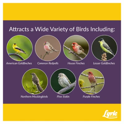Finch Small Songbird Wild Bird Food Mix, 20 Lbs.