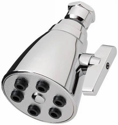 Shower Head, Fixed Mount, 6-Spray, Chrome