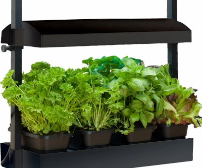 Micro Grow Light Garden, Full Spectrum 6400k, Black With Adjustable Canopy And Trays
