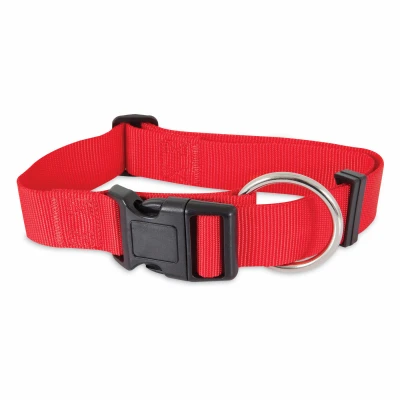 Red Nylon Dog Collar, Adjustable 3/8 Inch Width by 8 to 14 Inch Length