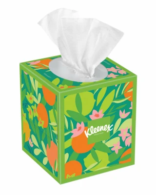 Facial Tissues, Ultra Soft, 3-Ply, 60-Ct.