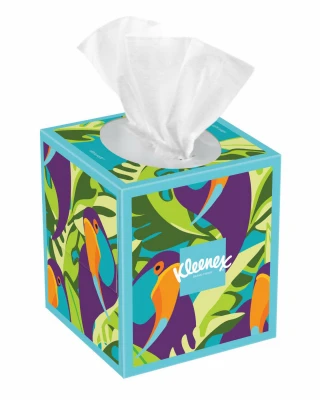 Facial Tissues, Ultra Soft, 3-Ply, 60-Ct.