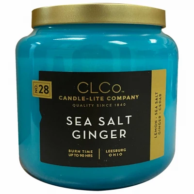 Sea Salt Ginger Scented Candle, 14 Ounce Jar