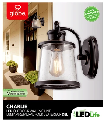 Outdoor Wall Sconce Light Fixture in Oil-Rubbed Bronze Finish