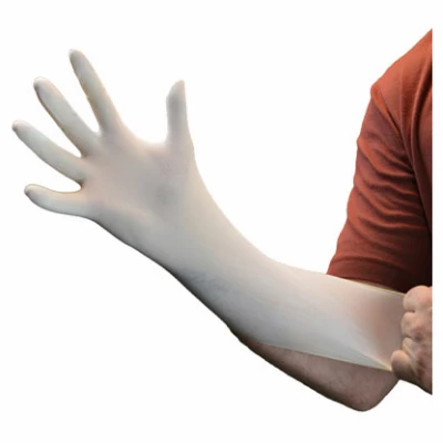 Latex Gloves, XL, 100-Ct.