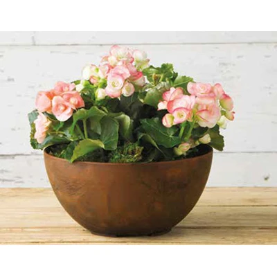 ArtStone Napa Water-Minder Planter, Plastic, Bowl, Rust, 10 In.