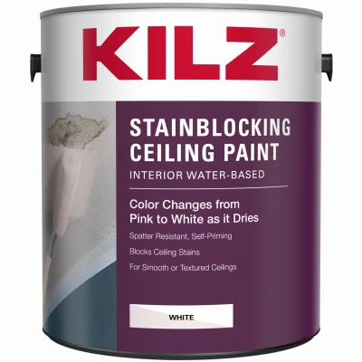 Color-Change Ceiling Paint, White, 1-Gallon