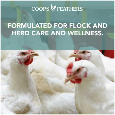 Healthy Hen Egg-Stra Eggs Water Additive, 16 Ounce Bottle