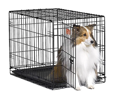 Home Training Dog Crate, 1 Door, 30-inch For Dogs