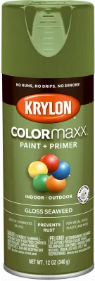 COLORmaxx Gloss Seaweed Green Spray Paint and Primer, 12 Ounce Can