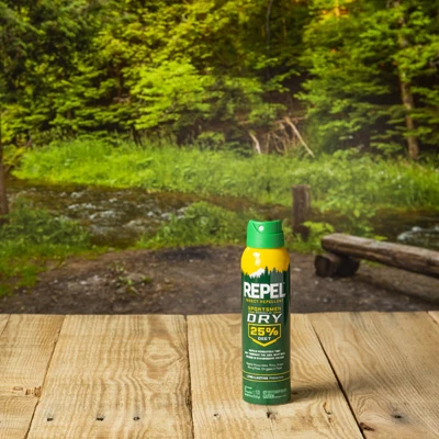 Sportsmen 4 Oz. Dry Insect Repellent Aerosol Spray With 25% Deet