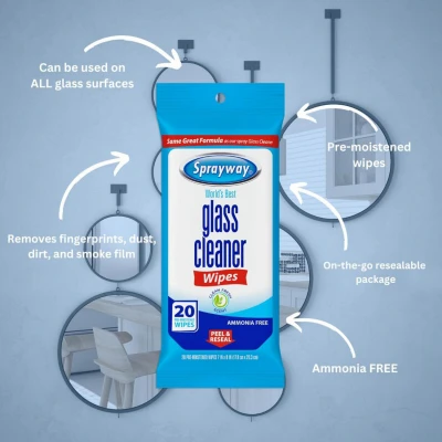 Glass Cleaner Wipes, 20-Ct.