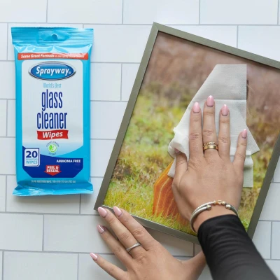 Glass Cleaner Wipes, 20-Ct.