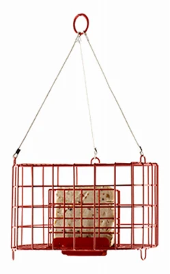 Suet Basket Bird Feeder, Pop-Out Cage