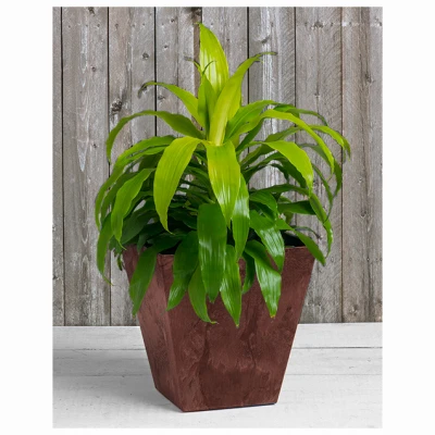 ArtStone Ella Water-Minder Planter, Plastic, 10 In. Sq.