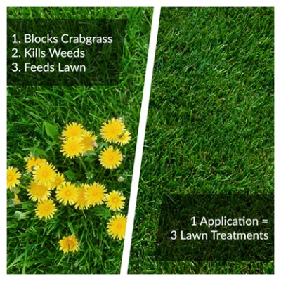 Fairway Formula Spring Fertilizer Weed and Feed with Crabgrass Preventer, 36 Pounds, Covers 10,000 Square Feet