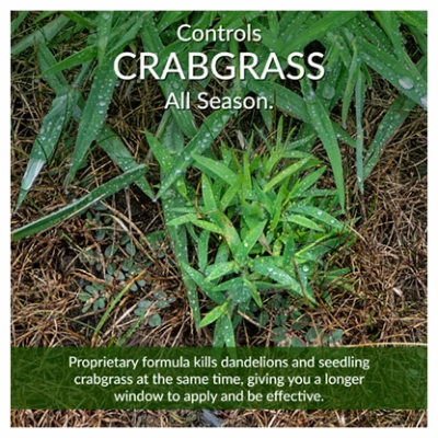 Fairway Formula Spring Fertilizer Weed and Feed with Crabgrass Preventer, 36 Pounds, Covers 10,000 Square Feet