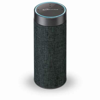 Alexa Wi-Fi Concierge Wireless Speaker with Voice Activation in Gray