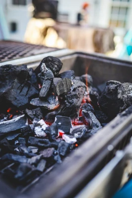 Premium Hardwood Lump Charcoal 8.8 Pounds Natural Fuel for Grilling and Barbecue