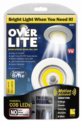 Over Lite Motion Light