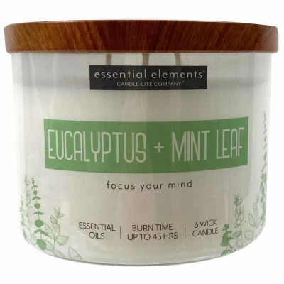 Essential Elements 3-Wick Jar Candle, Eucalyptus & Mint Leaf, 14.75-oz.