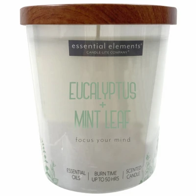 Essential Elements Jar Candle with Eucalyptus and Mint Leaf Scent, 9 Ounce
