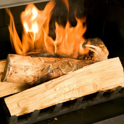 FireStart Wood Firelighters, 4.5-oz. Ea., Single - Sold Individually