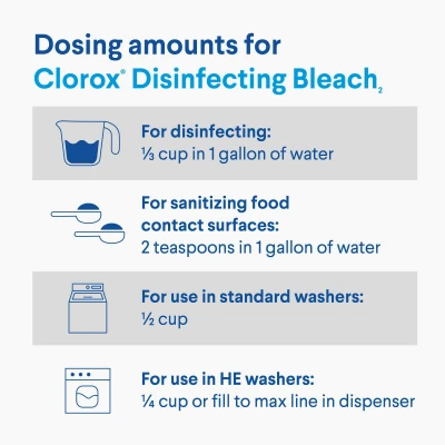 Regular Disinfecting Bleach, 24 oz.