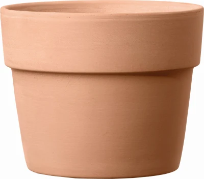 Terracotta Clay Planter, White, 5.1 Inches, Model 4s13wpz