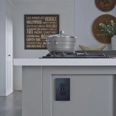 One-Gang Screwless Wall Plate, Graphite