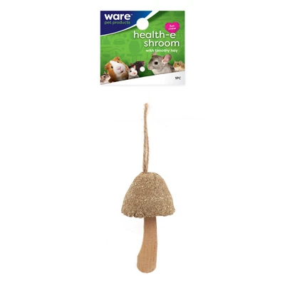 Health-E Schroom Chew Toy for Small Pets