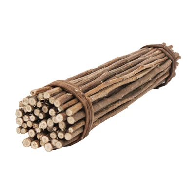 Mega Munch Sticks Chew Treat for Small Pets