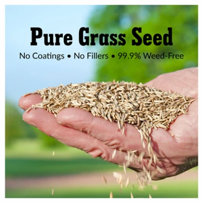 Fairway Formula Grass Seed for Sun and Shade, 7 Pounds Bag