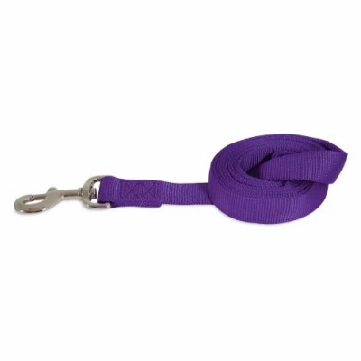 Dog Leash, 2-Ply Purple Nylon, 1-In. x 6-Ft.