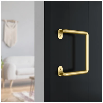 Troy Sliding Barn Door Handle, Brushed Gold Finish, Modern Style, 8 Inch Length