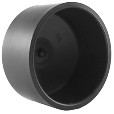ABS/DWV Pipe Cap, 2 In.