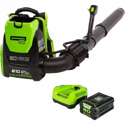 80v Cordless Backpack Leaf Blower With 2.5ah Battery & Charger, 145mph/580cfm