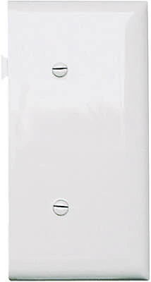 Pass and Seymour White Nylon Blank End Section Wall Plate