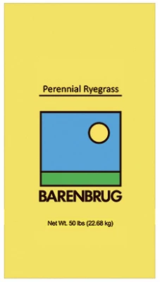 Perennial VNS Ryegrass Seed, 50 Lbs., Covers 20,000 Sq. Ft.