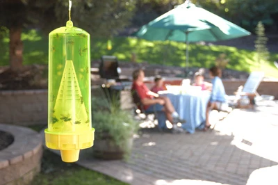 Reusable Yellow Jacket Trap