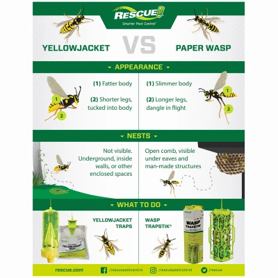 Reusable Yellow Jacket Trap
