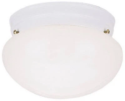 8-Inch Ceiling Light Fixture