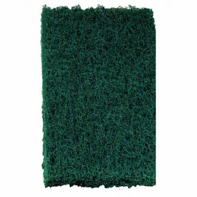 Heavy Duty Scour Pad, 6 x 3.8 In., 3-Pk.