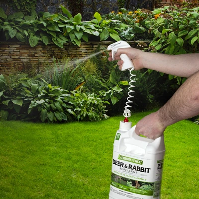 Deer and Rabbit Repellent Ready-to-Use 1 Gallon Concentrate