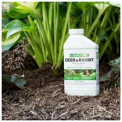 Deer and Rabbit Repellent Concentrate, 32 Ounce Bottle