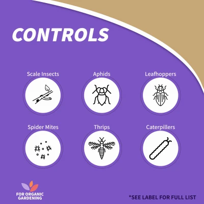 All Seasons Organic Horticultural Spray Oil Liquid 32 Oz - Insect & Disease Control