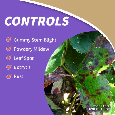 All Seasons Organic Horticultural Spray Oil Liquid 32 Oz - Insect & Disease Control
